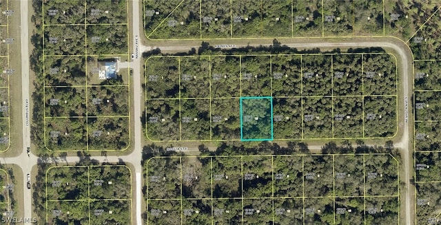 1215 Rosita St E, Lehigh Acres FL, 33974 land for sale