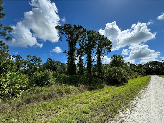 4227 E 30th St, Alva FL, 33920 land for sale