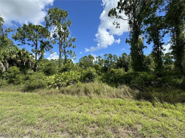 Listing photo 3 for 4227 E 30th St, Alva FL 33920