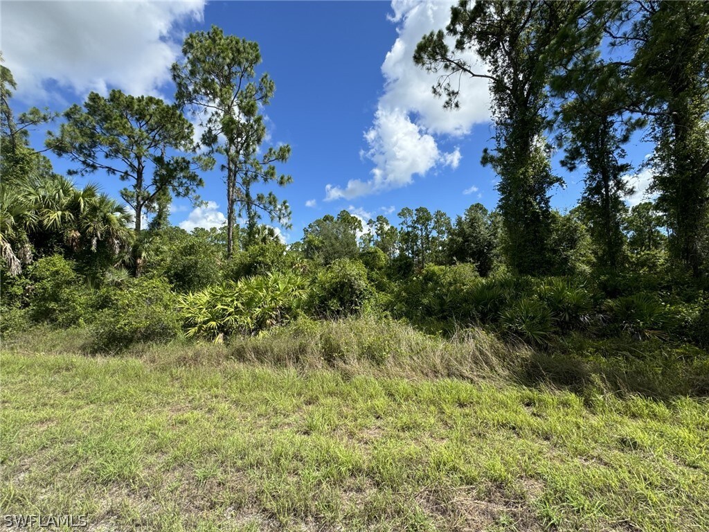4227 E 30th St, Alva, FL 33920