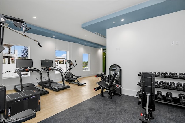 exercise room with hardwood / wood-style flooring