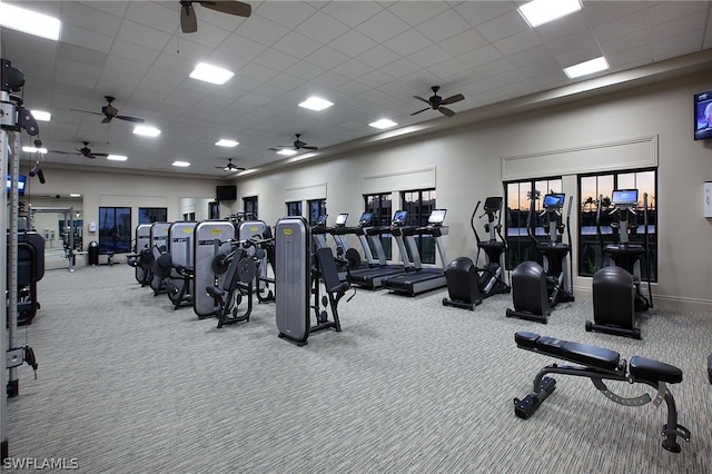 workout area with carpet flooring and a drop ceiling