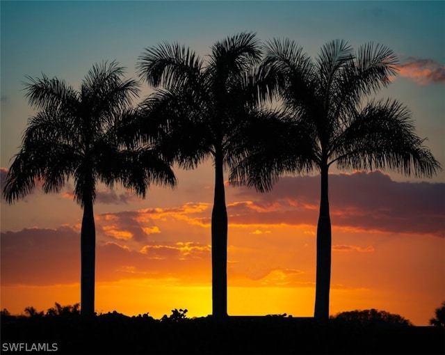 view of nature at dusk