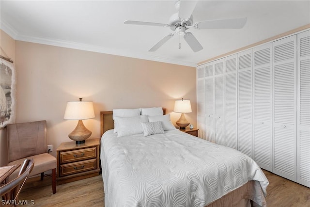 bedroom with ceiling fan, light hardwood / wood-style flooring, ornamental molding, and a closet