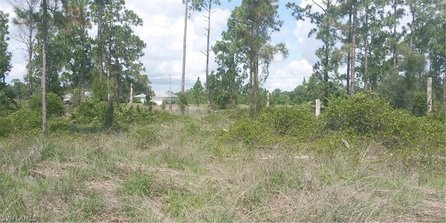 710 Giorgio Ave S, Lehigh Acres FL, 33974 land for sale