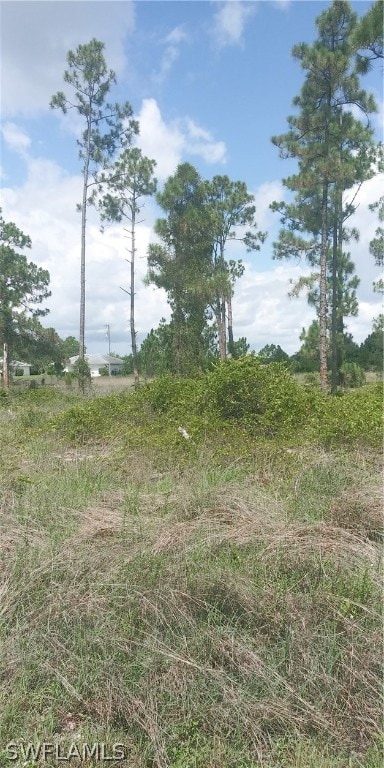 Listing photo 3 for 710 Giorgio Ave S, Lehigh Acres FL 33974