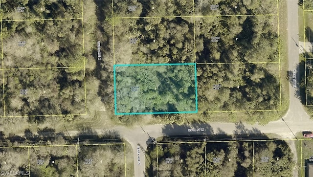 5900 Unice Ave N, Lehigh Acres FL, 33971 land for sale