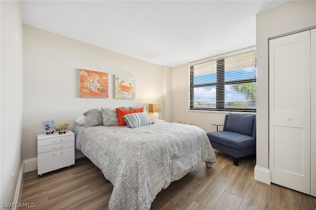 bedroom featuring a closet and wood-type flooring