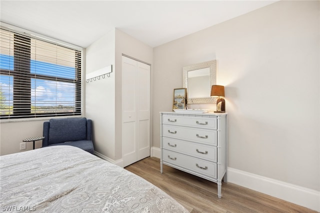 bedroom featuring a closet and wood-type flooring