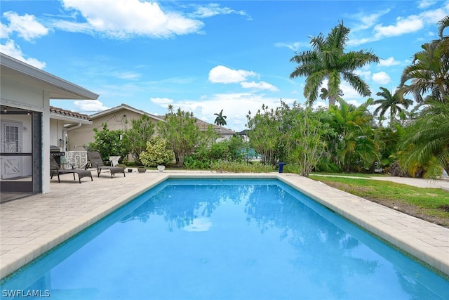 view of pool with a patio