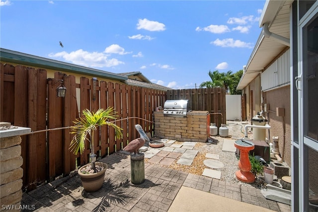 view of patio / terrace with area for grilling and a grill