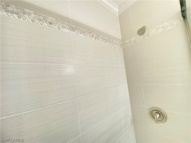 interior details with tiled shower