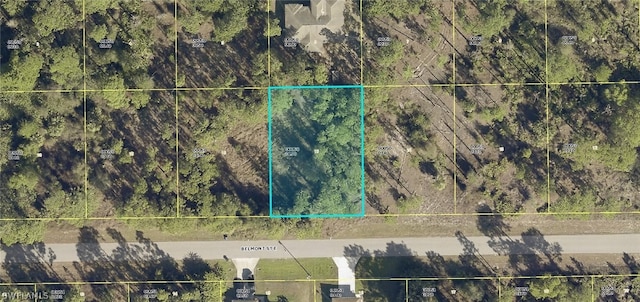 941 Belmont St E, Lehigh Acres FL, 33974 land for sale