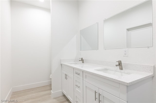 bathroom featuring double vanity and wood-type flooring