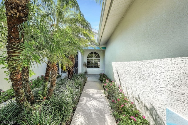 doorway to property featuring stucco siding