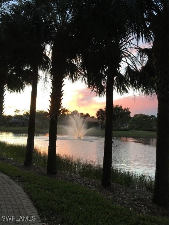 3357 Wildwood Lake Cir, Bonita Springs, FL 34134 - water view