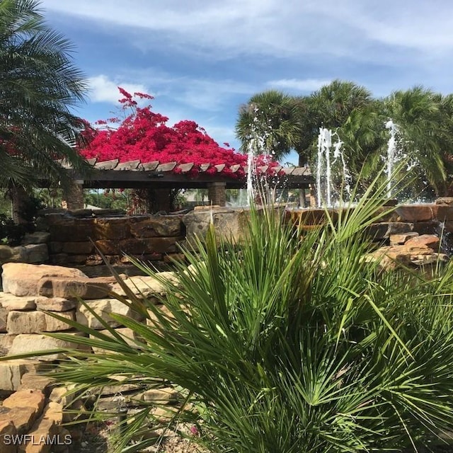 3357 Wildwood Lake Cir, Bonita Springs, FL 34134 - view of yard