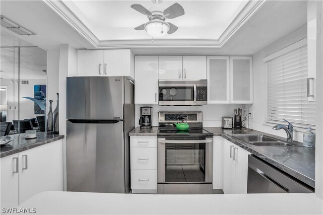 kitchen with white cabinets, a tray ceiling, ceiling fan, stainless steel appliances, and sink