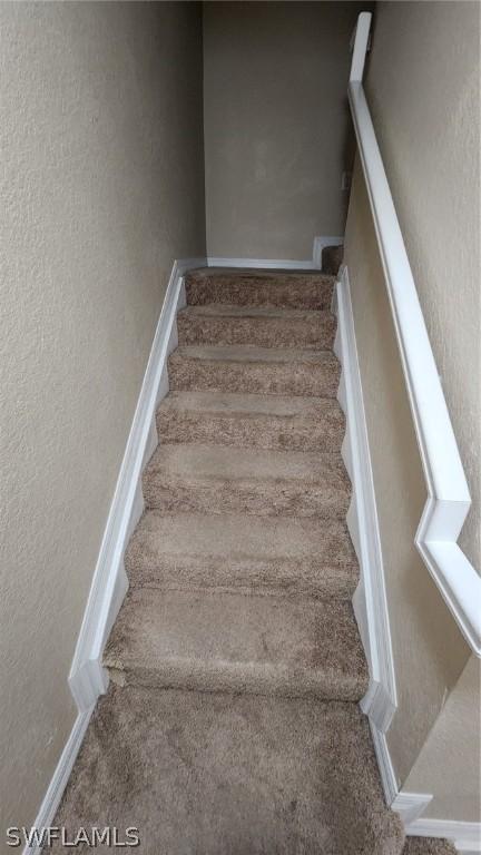 stairs featuring carpet flooring