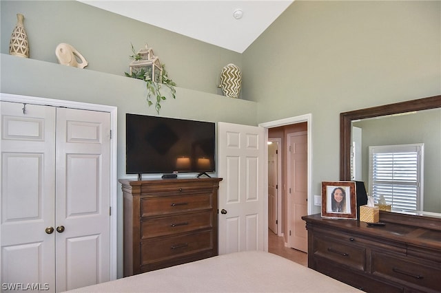 bedroom featuring wood-type flooring, a closet, and lofted ceiling