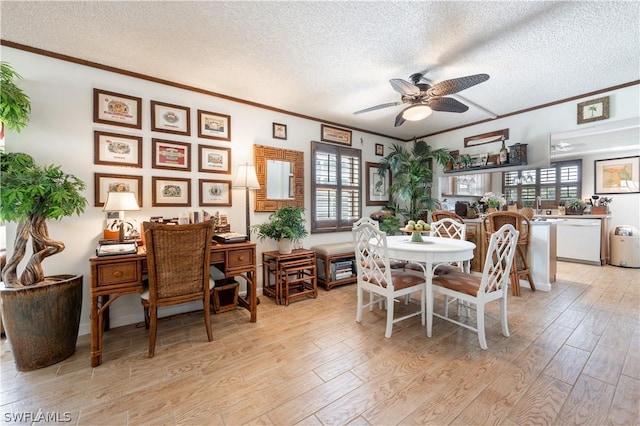 dining space featuring a wealth of natural light, ceiling fan, and a textured ceiling