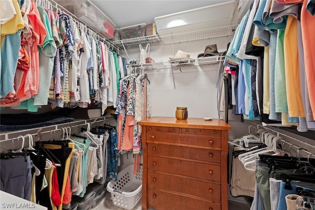 view of walk in closet