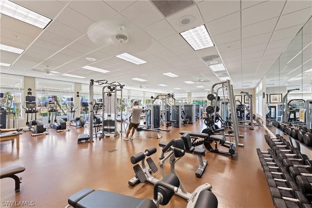 gym featuring a drop ceiling, a healthy amount of sunlight, and ceiling fan