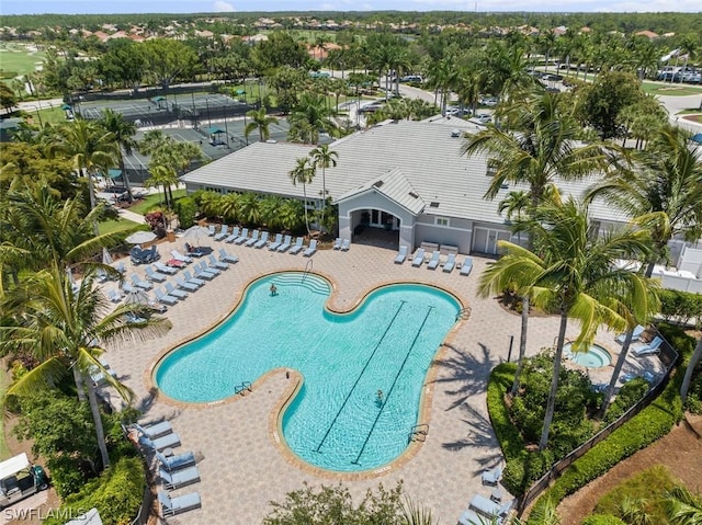 view of pool with a patio area