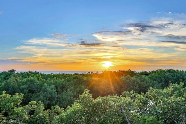 view of nature at dusk