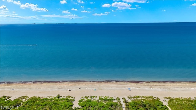 property view of water with a beach view