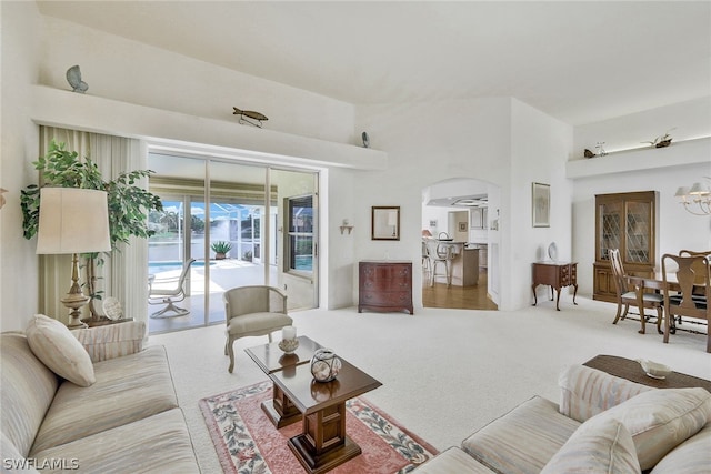 living room with carpet and a high ceiling