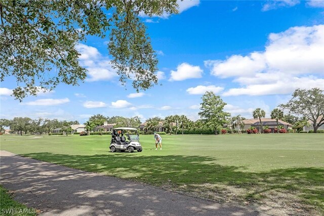 view of property's community with a yard