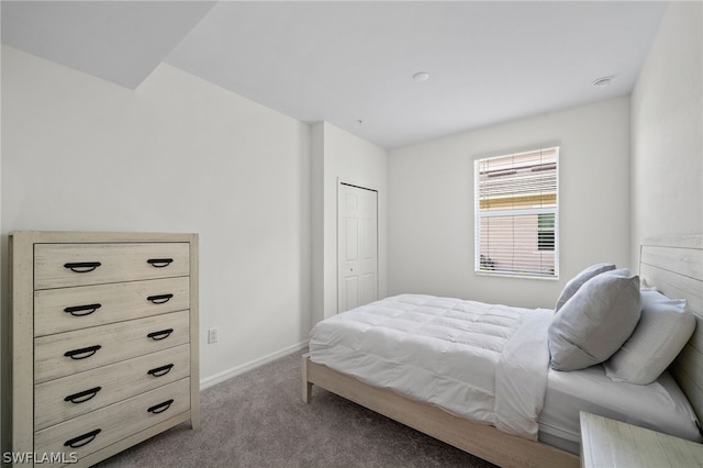 bedroom with carpet floors and a closet