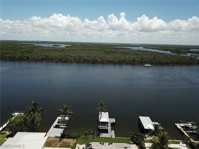 property view of water with a dock