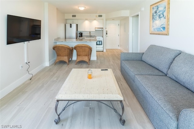 living room featuring light hardwood / wood-style flooring and sink