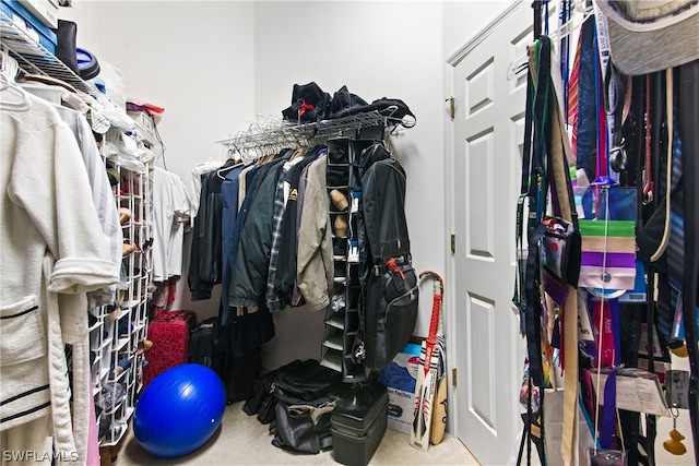 spacious closet with carpet flooring