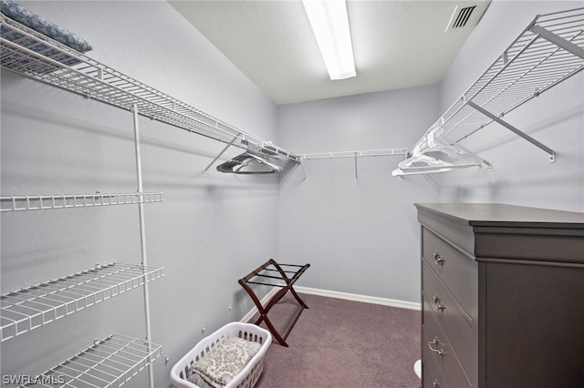 spacious closet with dark colored carpet