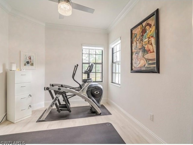 workout room featuring ceiling fan and crown molding