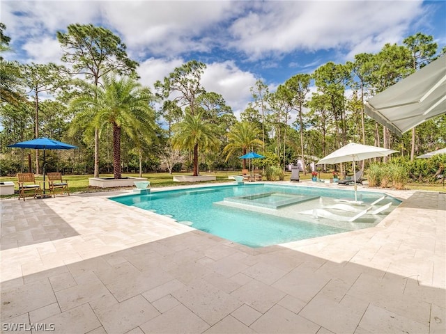 view of pool with a patio