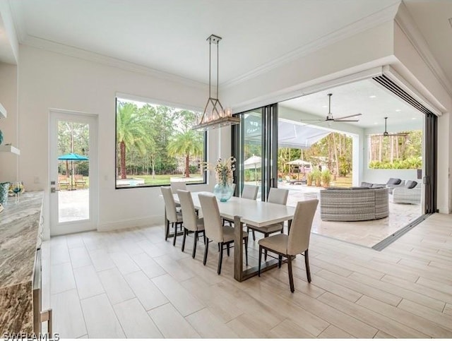 dining space featuring ceiling fan, plenty of natural light, and ornamental molding