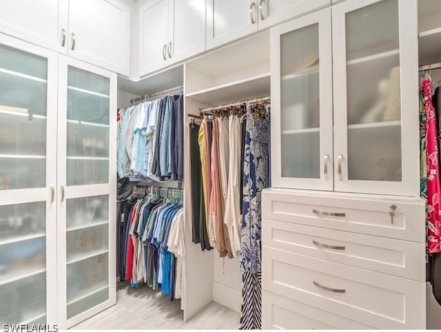 view of walk in closet