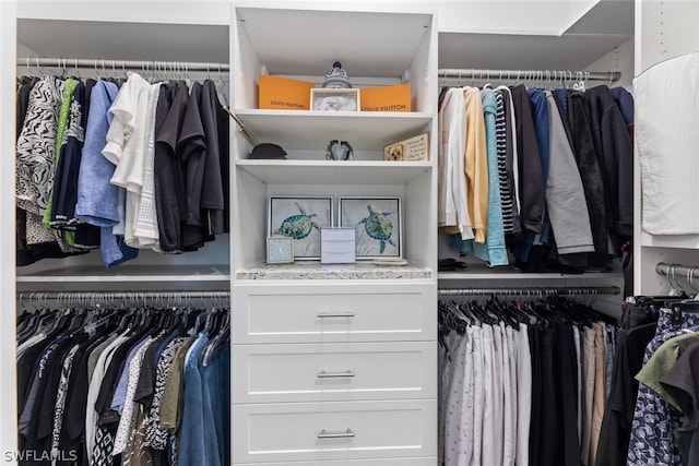 view of spacious closet