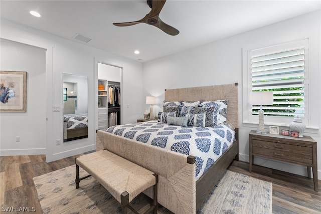 bedroom featuring a walk in closet, a closet, ceiling fan, and dark wood-type flooring