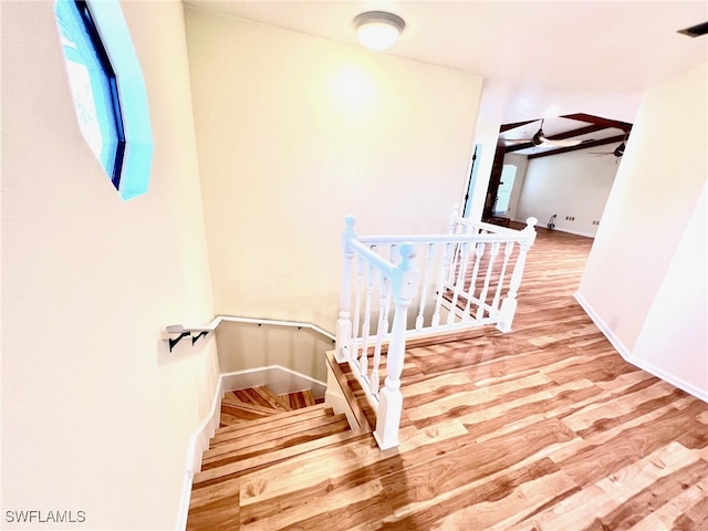 staircase with hardwood / wood-style floors