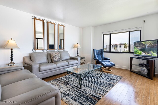 living room featuring light hardwood / wood-style floors