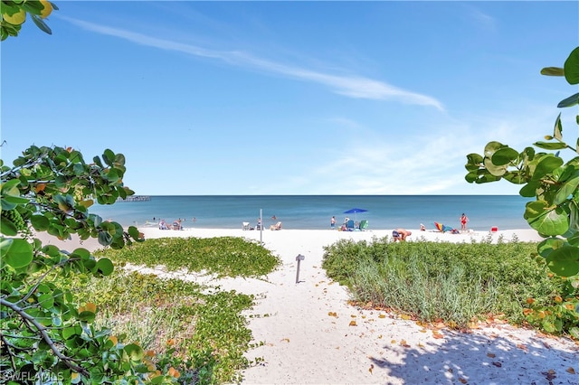 water view featuring a beach view