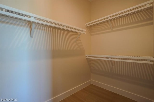 spacious closet with wood finished floors