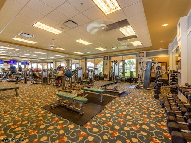 exercise room featuring carpet flooring, a paneled ceiling, and ceiling fan