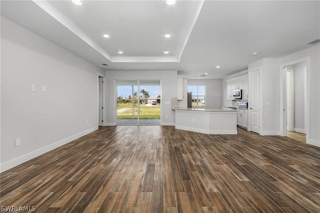 unfurnished living room featuring a raised ceiling