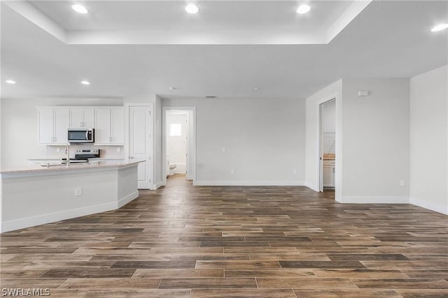 unfurnished living room with a raised ceiling